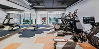 Pure Lowry Gallery 14