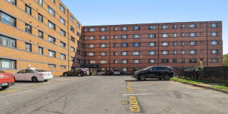 Swift at Riverdale Park Gallery 38