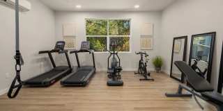 Alder Walk Gallery 9