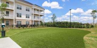 The Stafford Gallery 29