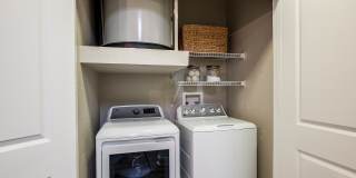 The Village at Lake Lily Gallery 51