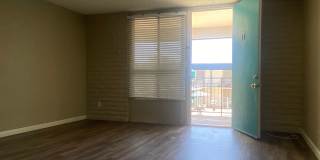 Scottsdale 5th Gallery 7