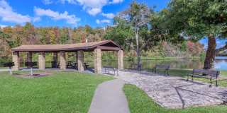 Millenium Cove Gallery 16