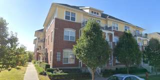 1637 McCleary Lane Gallery 10