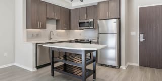 The Dalton Gallery 11