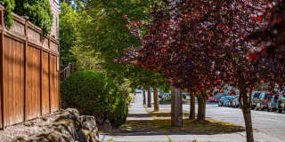 Bayview Apartments | Bright Units with Easy Transit Options Bayview Apartments | Bright Units with Easy Transit Options Gallery 2