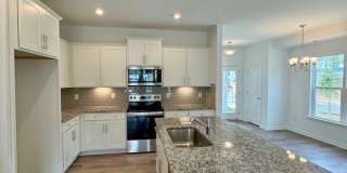 Brand New Townhome in Pringle Town Gallery 10