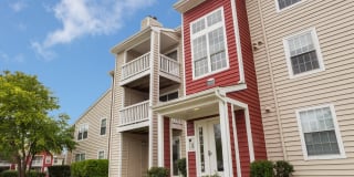 TGM Springbrook Gallery 25