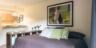 The Falls Gallery 33