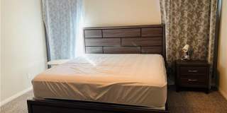 7867 Pink Opal Avenue Gallery 10