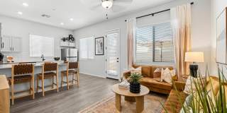 Canopy at Sundance Gallery 40