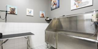 Camden Court Gallery 29