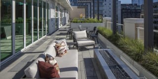 The Gossamer Gallery 22