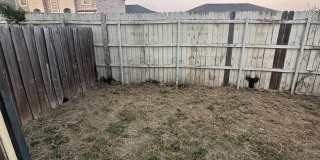 1020 Jessie Street Gallery 18