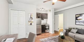 Oliver on LaSalle Gallery 10