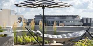 The Ellington Gallery 17