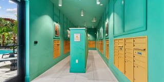 The Tropic Gallery 44