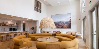 Trace Gallery 3