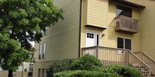 11378 LAURELWALK Drive unit: 50 Gallery 1