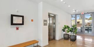 Little Zoe Gallery 13