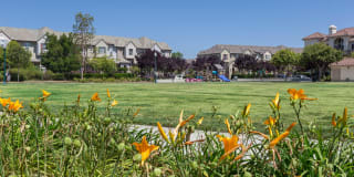 Park Place at San Mateo Gallery 32