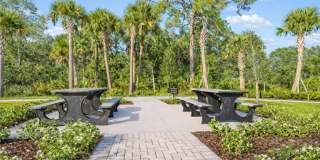 Ravinia St. Lucie Gallery 33