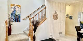 2018 Shermer Road Gallery 21