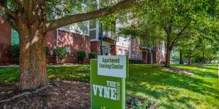 Vyne On Central Gallery 2