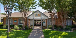 Canopy on Central Gallery 17