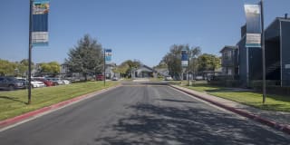 Cypress Creek Gallery 29