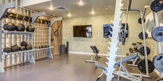 Avana Coronado Gallery 28