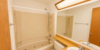 2BR/2BA, vaulted ceilings, pool, parking, W/D included, more! (SC308) Gallery 5