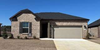 337 Mistfield Street Gallery 1