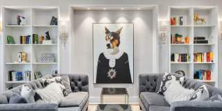 Onyx North Central Gallery 28