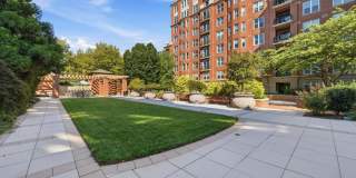 Rockville's Park Potomac Gallery 29
