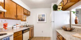 Sawmill Creek Gallery 20