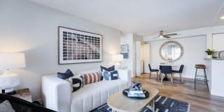 Sofi Ocean Hills Gallery 2