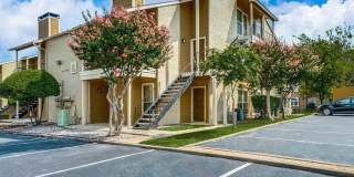 Riviera Riviera Gallery 28