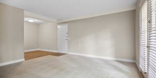 Sumter Square Gallery 16