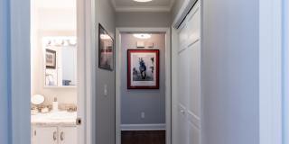 1 Patricia Lane Gallery 17