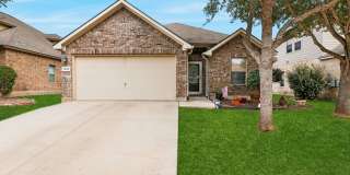 3041 Turquoise Gallery 1