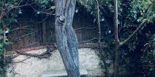 5246 Calderon Road Gallery 30