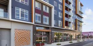 Telegraph Arts Gallery 1