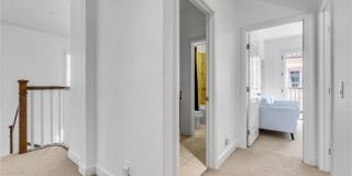 80 Lupari Gallery 20