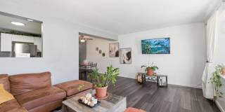8269 Sandy Lane Gallery 8