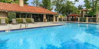 McComber Creek Gallery 53