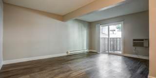 TrailView Gallery 11