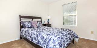 Millennium Apartments Gallery 33