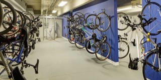 AMLI Deerfield Gallery 23