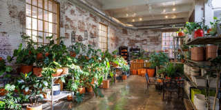 114 GREEN Lane Gallery 11